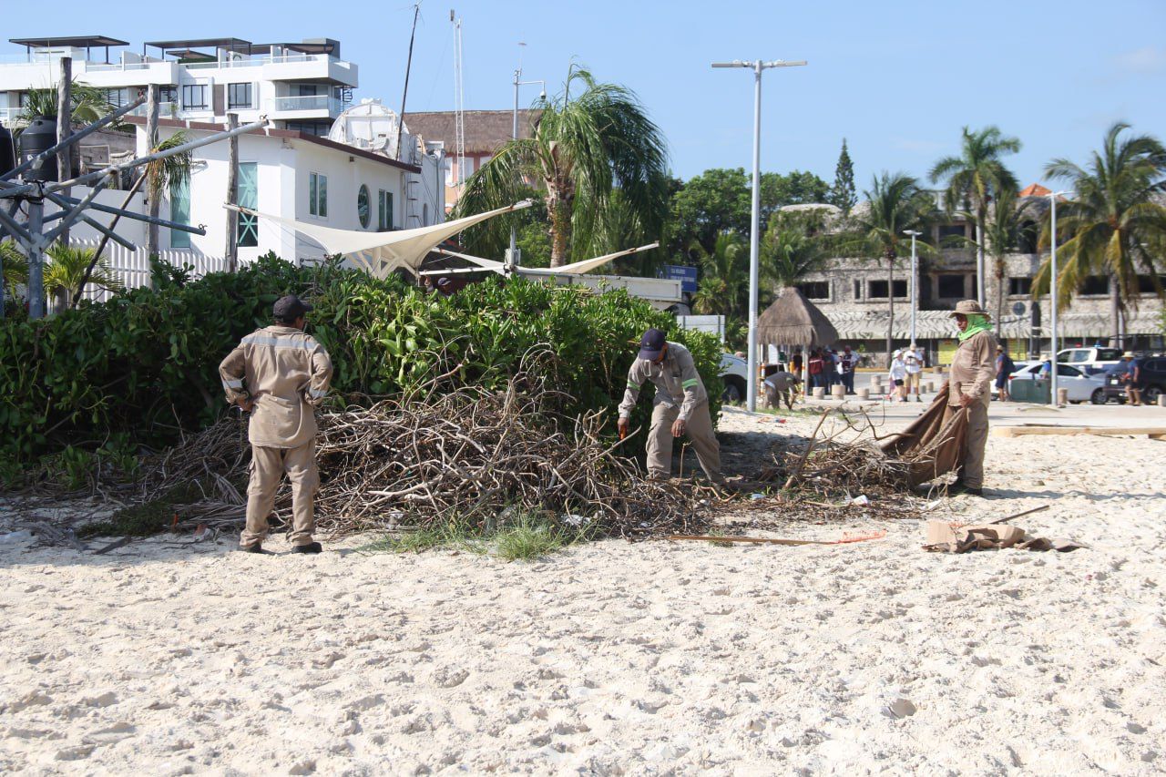 Comunicado Https Cancun Gob Mx Uploads Comunicado